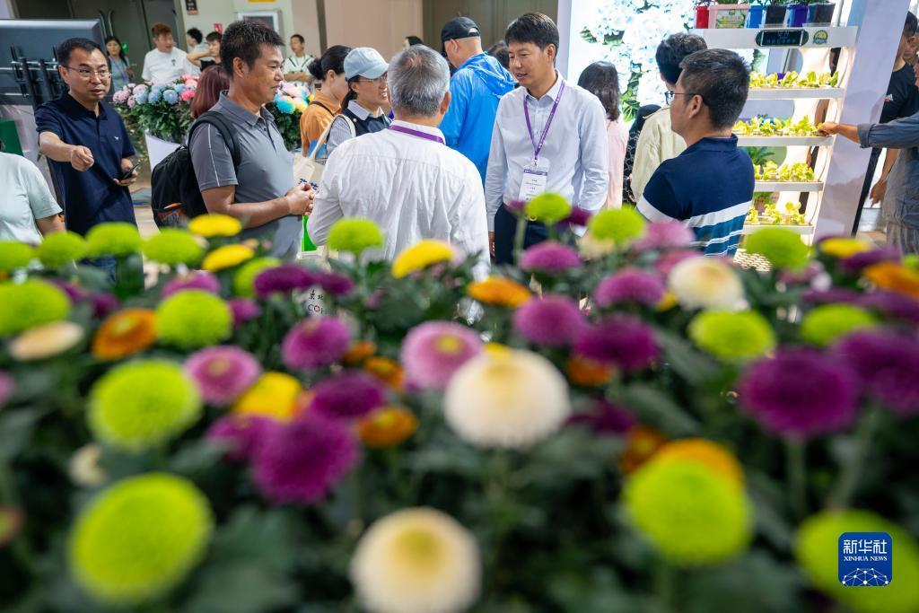 澳门三合揽珠历史开奖